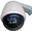  PTZ Dome IP Camera:ADS-181(With PTZ)  